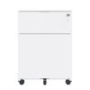 2 Drawer Mobile File Cabinet with Lock Steel File Cabinet for Legal/Letter/A4/F4 Size, Fully Assembled except for Wheels, Home/ Office Design, White