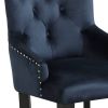 Varian II Dark Navy Velvet & Black Finish Side Chair