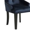 Varian II Dark Navy Velvet & Black Finish Side Chair